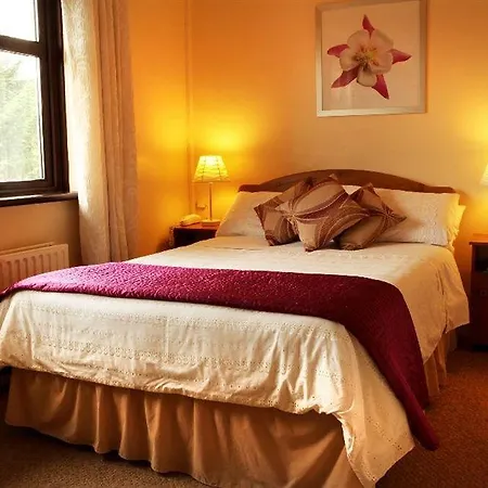 Bed and Breakfast Athlumney Manor Guest