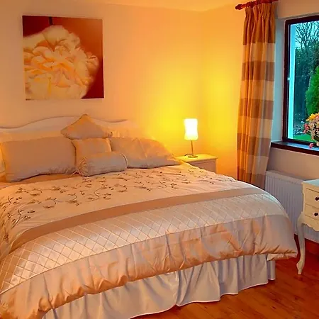 Bed & Breakfast Athlumney Manor Guest Navan