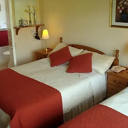 Bed & Breakfast Athlumney Manor Guest 4*