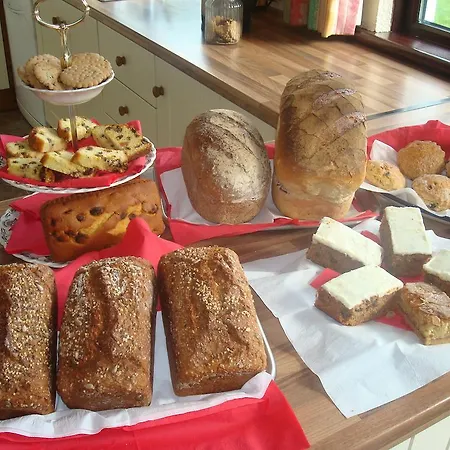 Bed and Breakfast Athlumney Manor Guest 4*