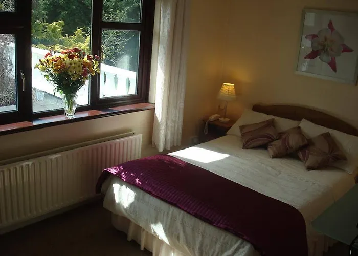 Athlumney Manor Guest