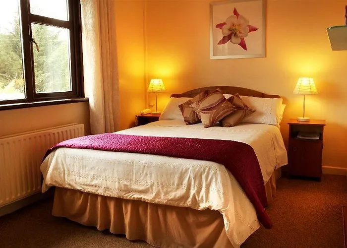 B&B Athlumney Manor Guest