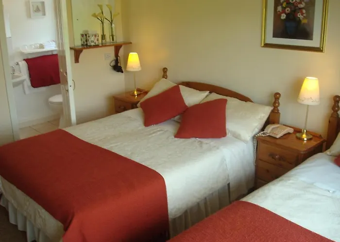 Athlumney Manor Guest B&B 네번